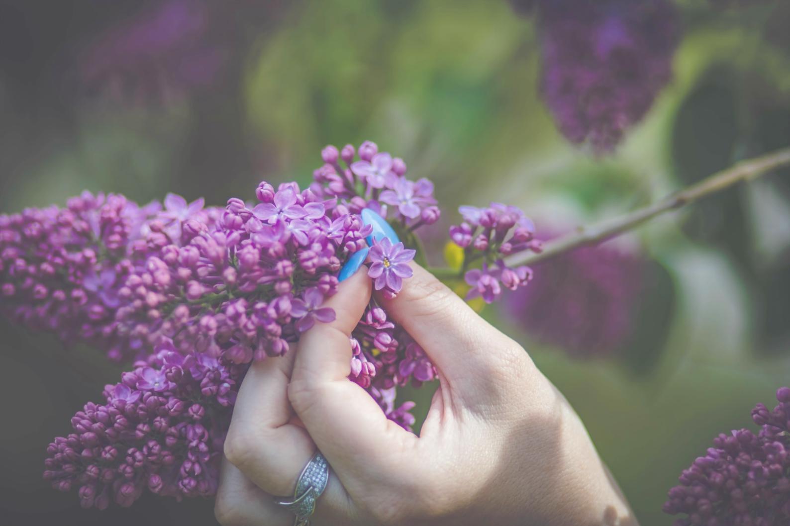 Studio professionale unghie con strumenti di lavoro